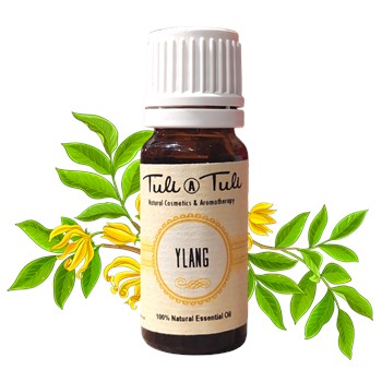 Ylang ylang, naturalny olejek eteryczny (10 ml)