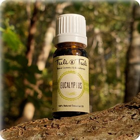 Eukaliptus, naturalny olejek eteryczny (10 ml)